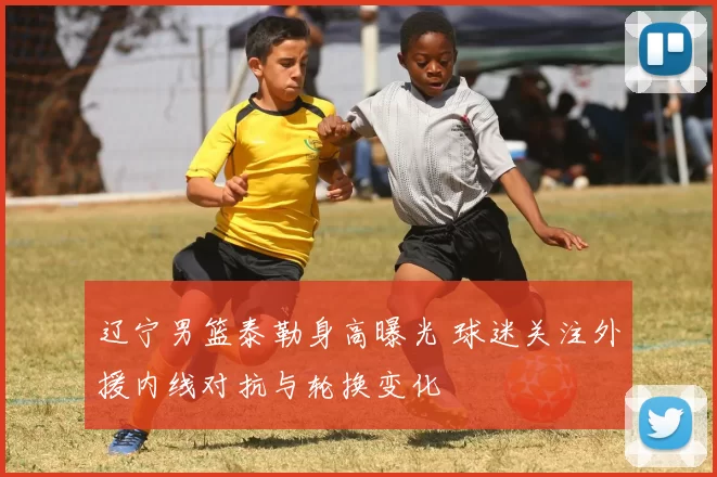辽宁男篮泰勒身高曝光 球迷关注外援内线对抗与轮换变化