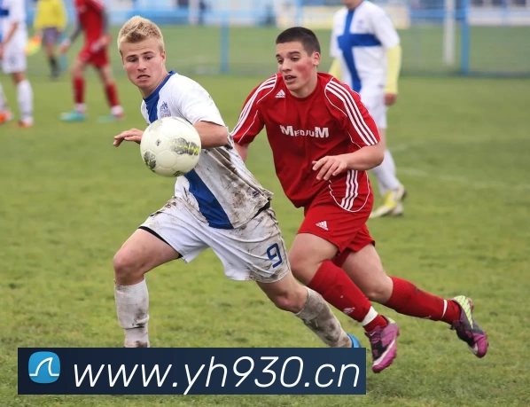 App Interface Preview